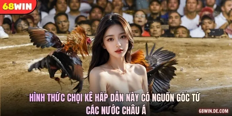 Hình thức chọi kê hấp dẫn này có nguồn gốc từ các nước châu Á