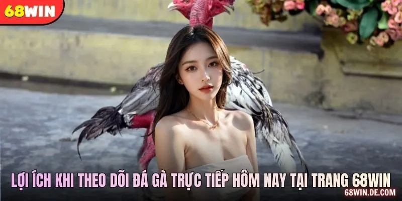 Lợi ích khi theo dõi đá gà trực tiếp hôm nay tại trang 68WIN